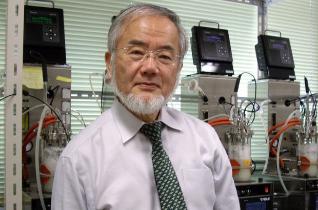 2016 Nobel Tıp Ödülü