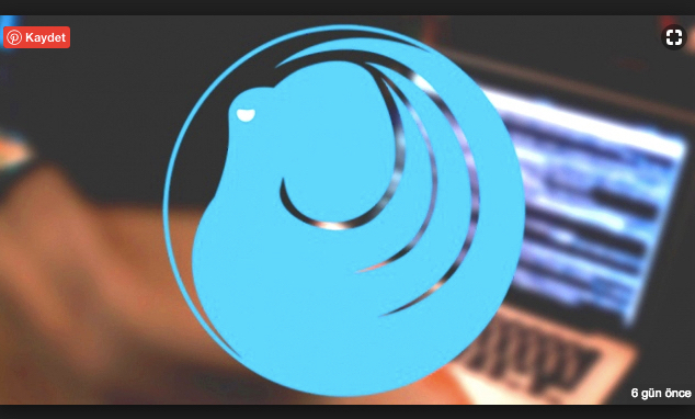 Türkiye'nin siber kalkanı 'Ahtapot'