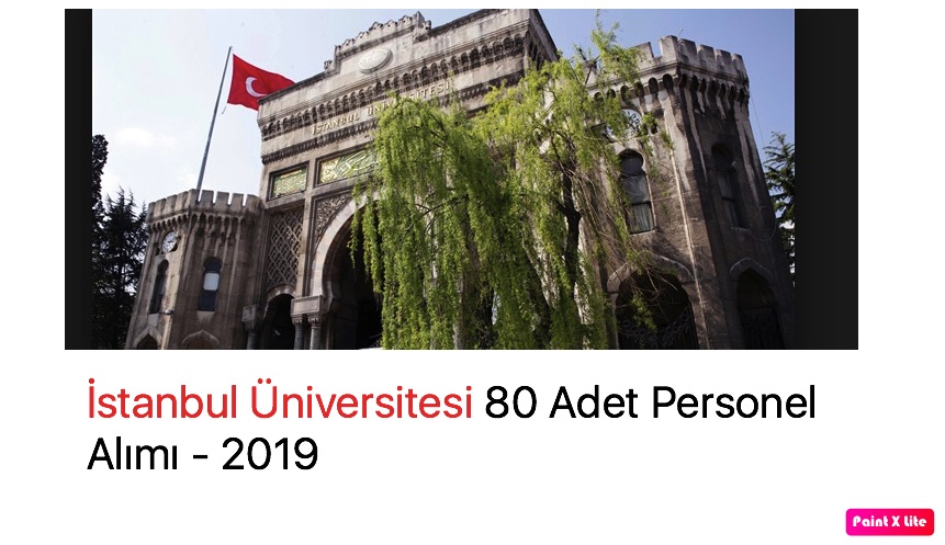 İstanbul Üniversitesi 80 Adet Personel Alımı - 2019