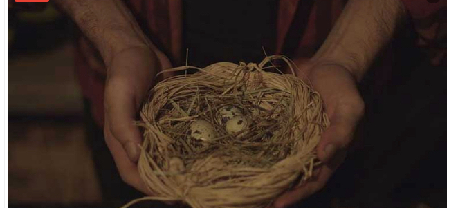 'Yuva' filmine Rusya'dan ödül