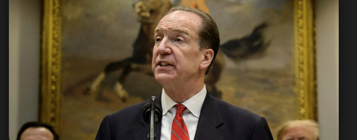 dünya bankası başkanı David Malpass