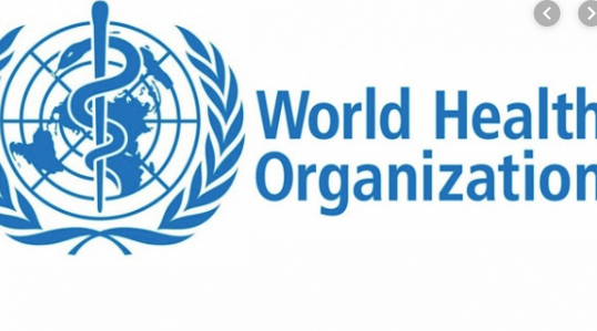 Dünya Sağlık Örgütü