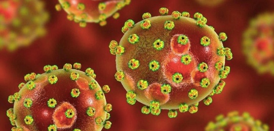 2020 Çinde Ortaya Çıkan Hanta virüsü nedir?