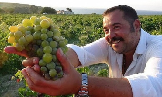 Bozcaada'nın Çavuş üzümü tescillendi 2020