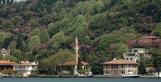 Vani Mehmet Efendi Camii