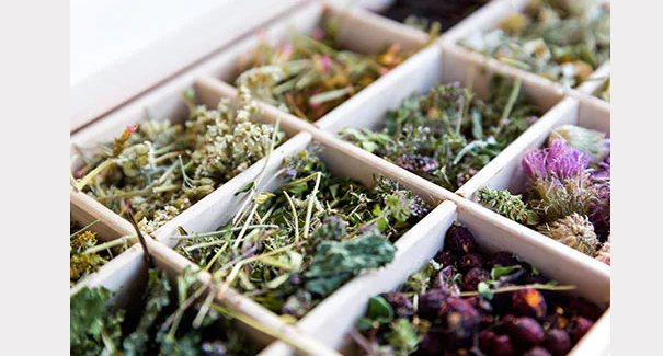 Hangi Zayıflama Çayı Daha Etkili?