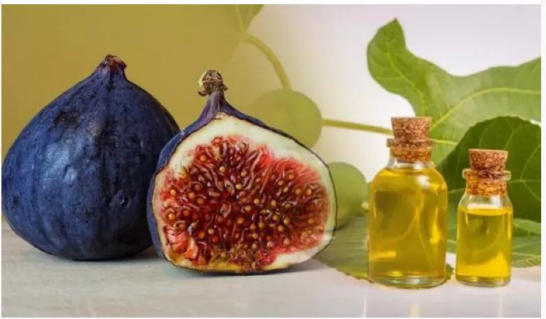 İNCİR ÇEKİRDEĞİ YAĞI