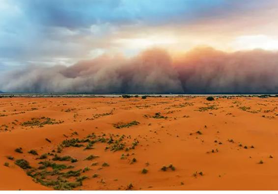 Sahara Çölü